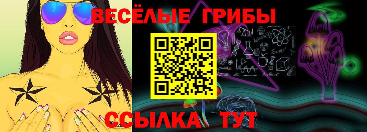 Дальнегорск  Псилоцибиновые грибы Psilocybine cubensis  Вход с VPN  Псилоцибиновые грибы ЛСД 